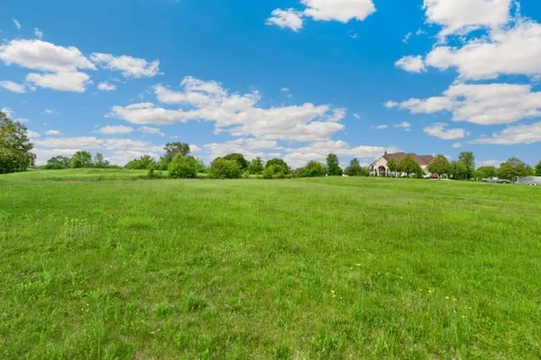 a view of a big yard with plants and large trees