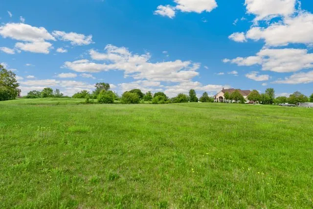 a view of a big yard with plants and large trees
