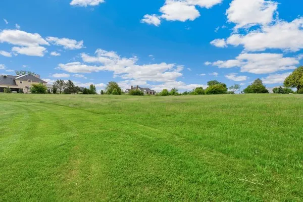 a view of a big yard with lots of green space