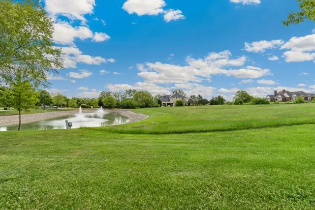 a view of a water fountain and a big yard