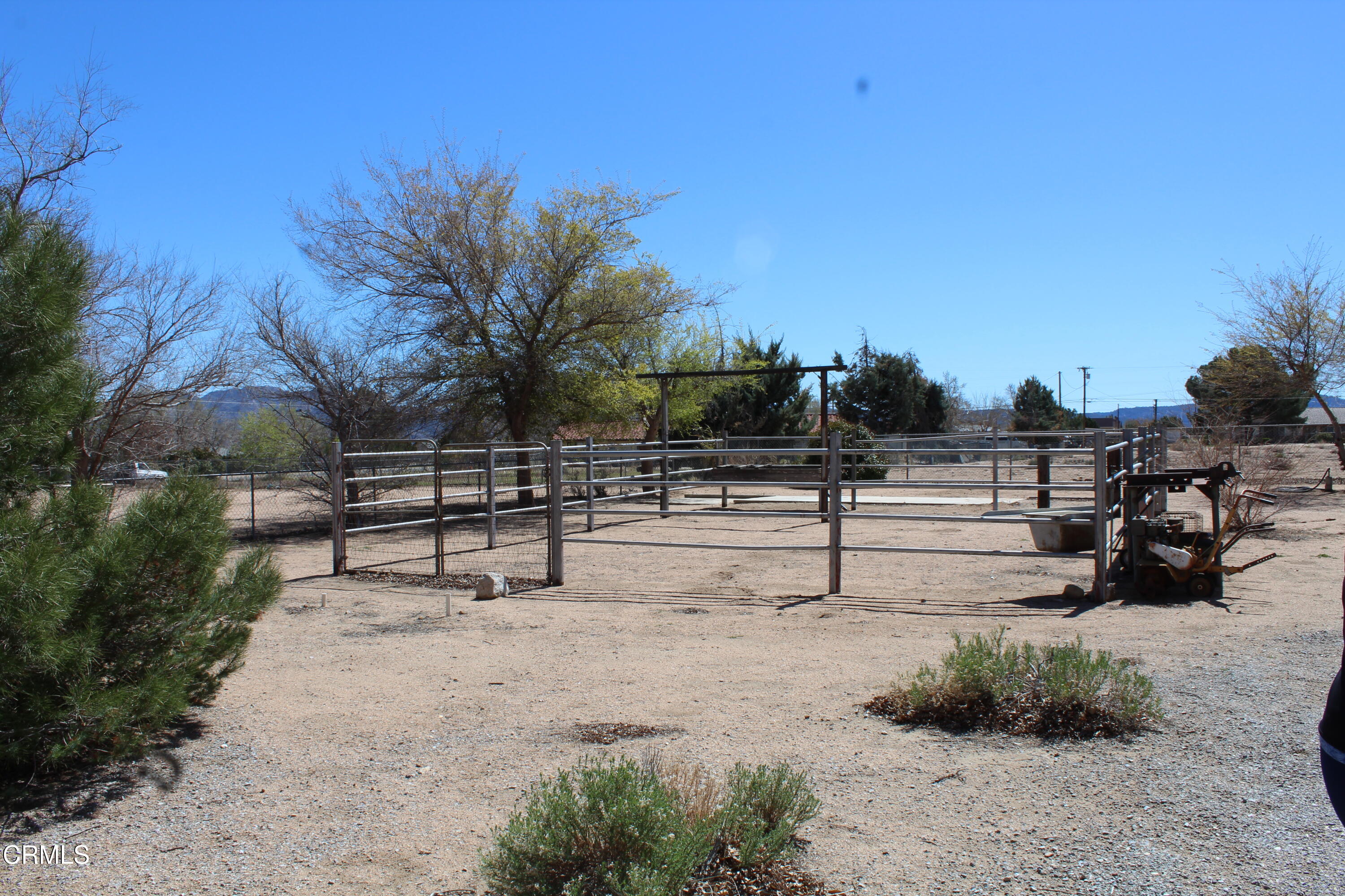 15685 Rodeo Street Hesperia, CA 92345 - Photo 10 of 53 IMG_9591