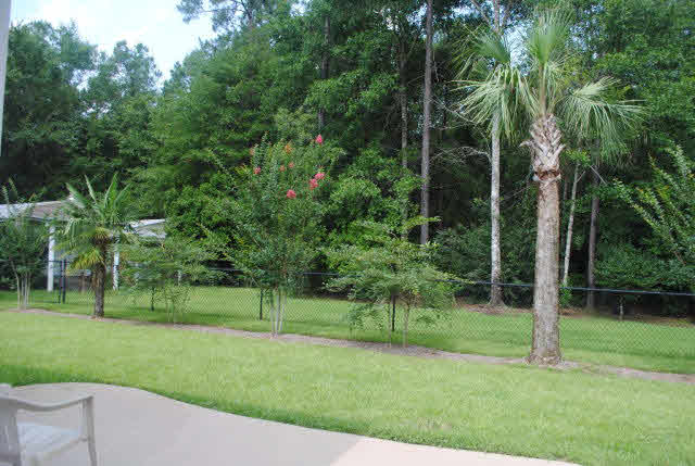 32853 Juniper Road Seminole, AL 36574 - Photo 7 of 22