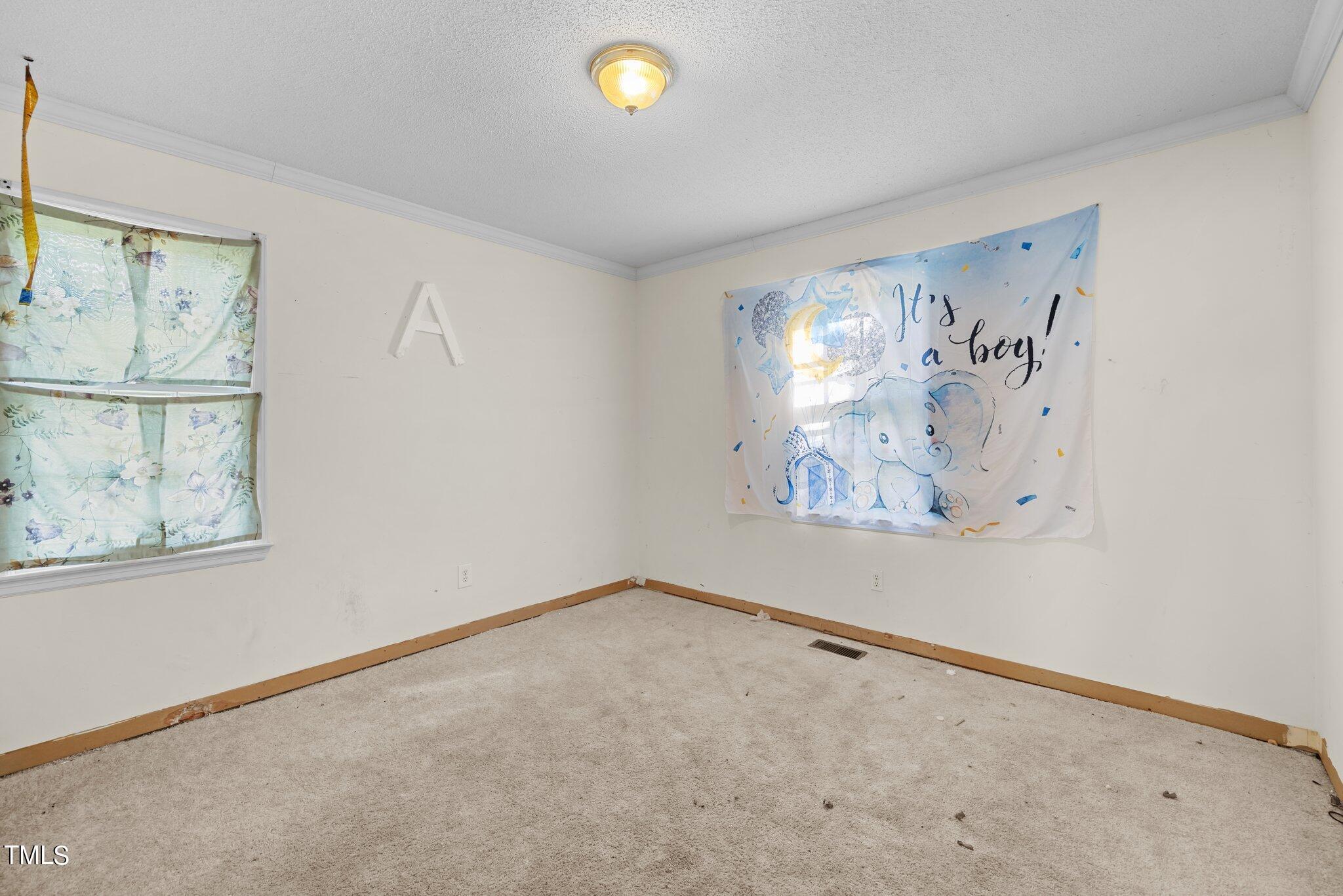 7101 Buck Road Wendell, NC 27591 - Photo 12 of 16 Bedroom II