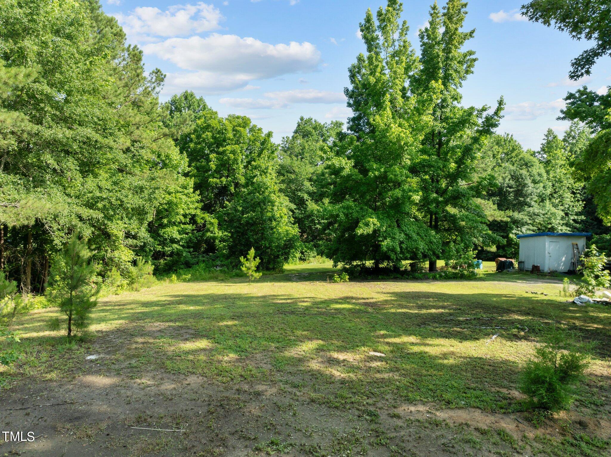 7101 Buck Road Wendell, NC 27591 - Photo 3 of 16 Yard view