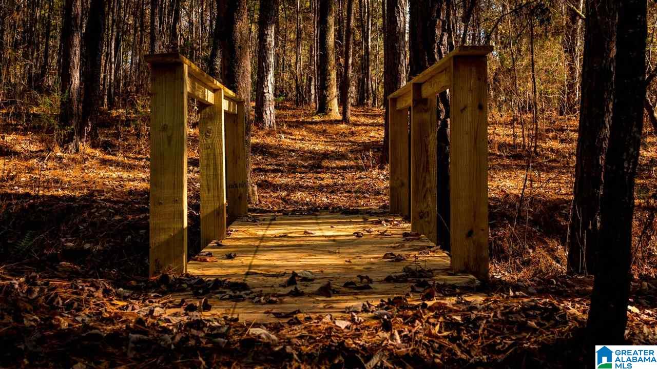Lot # Jackson Trail, Unit 15 Lineville, AL 36266 - Photo 15 of 17