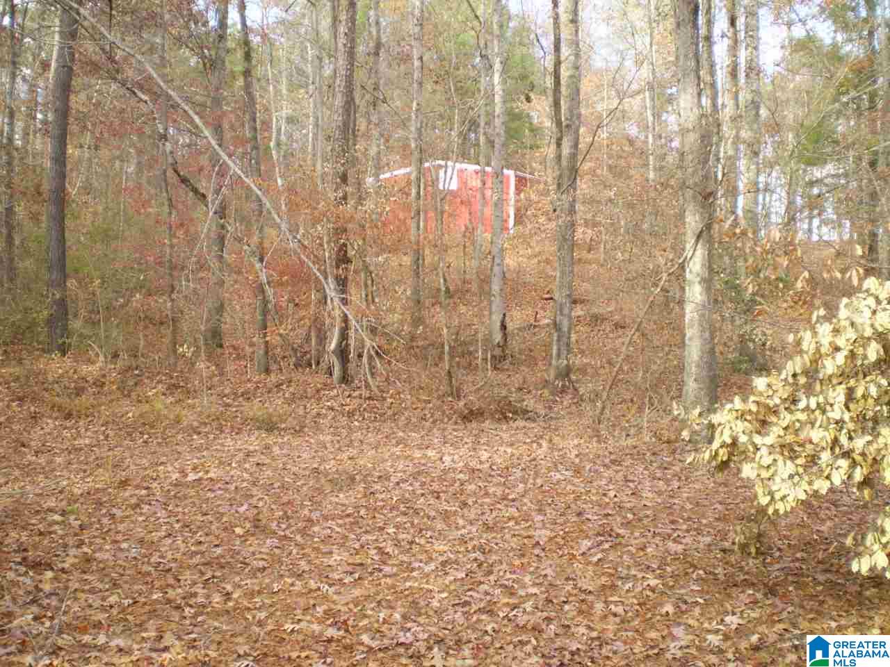 172 Waldrop Road, Unit 9 Ashville, AL 35953 - Photo 36 of 36