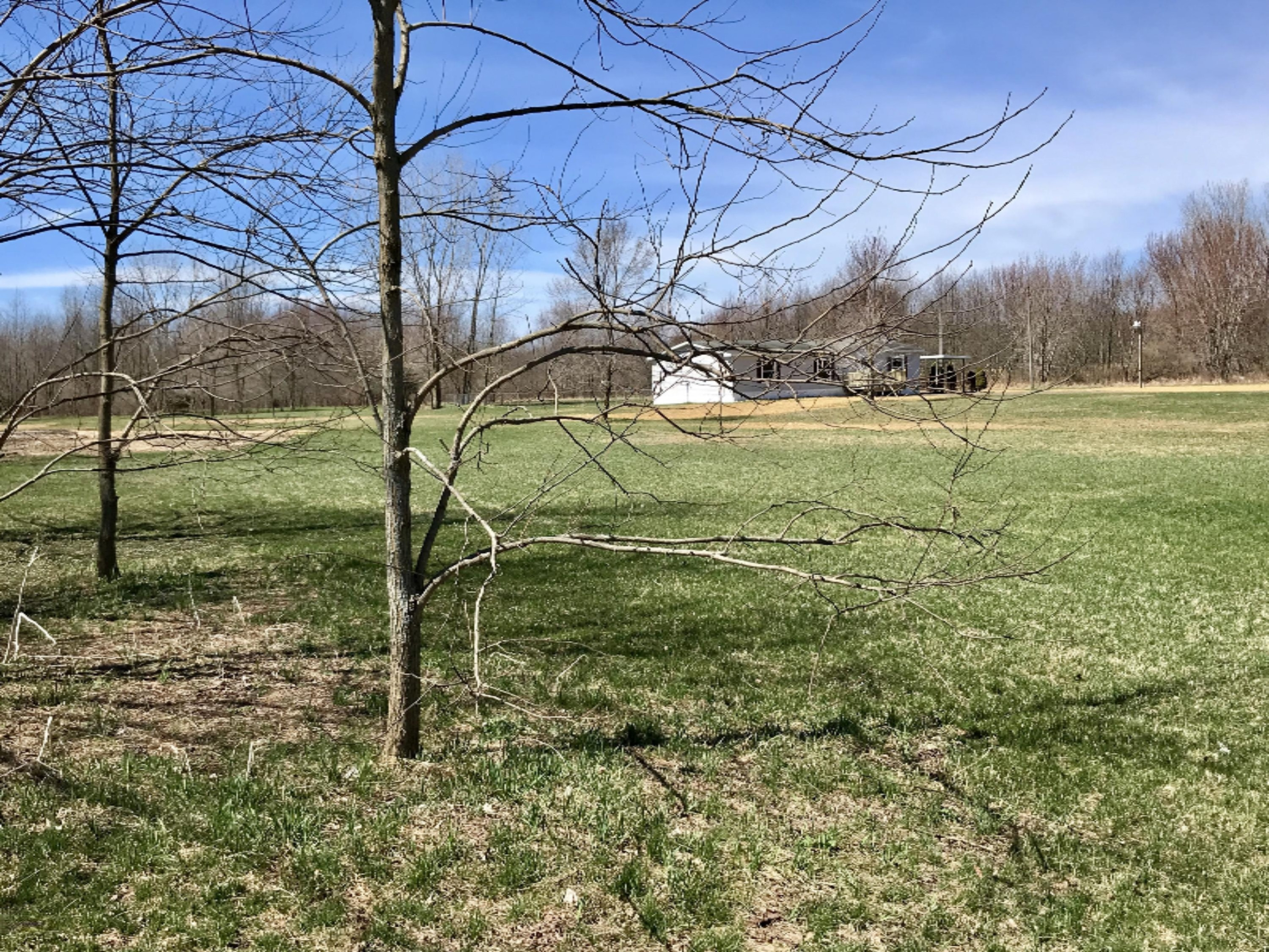 410 South Park Road Benton Harbor, MI 49022 - Photo 50 of 54 IMG_E1171