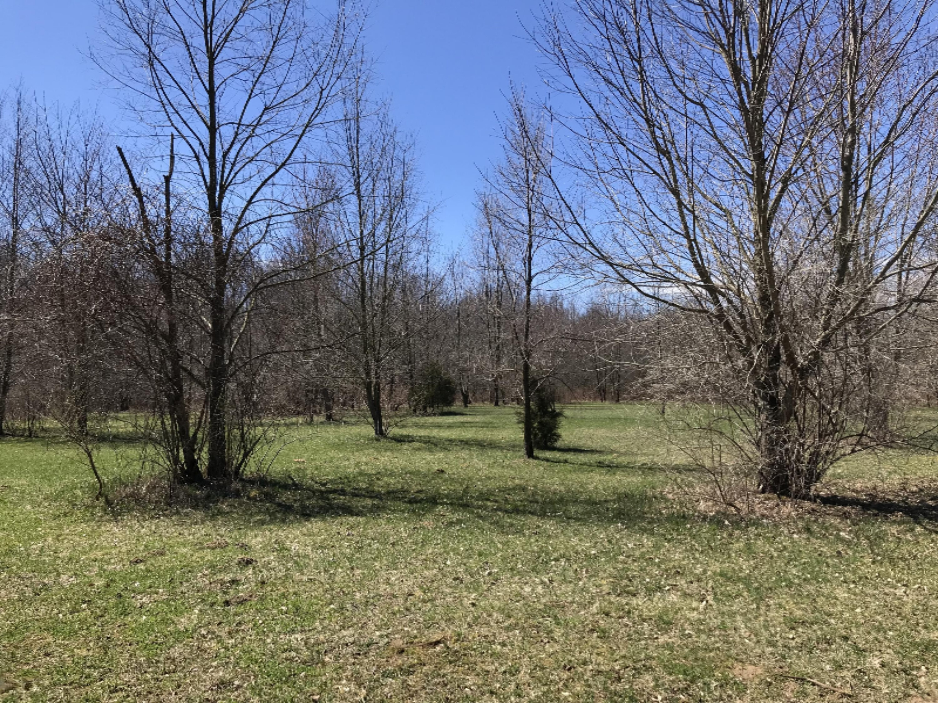 410 South Park Road Benton Harbor, MI 49022 - Photo 54 of 54 IMG_1078