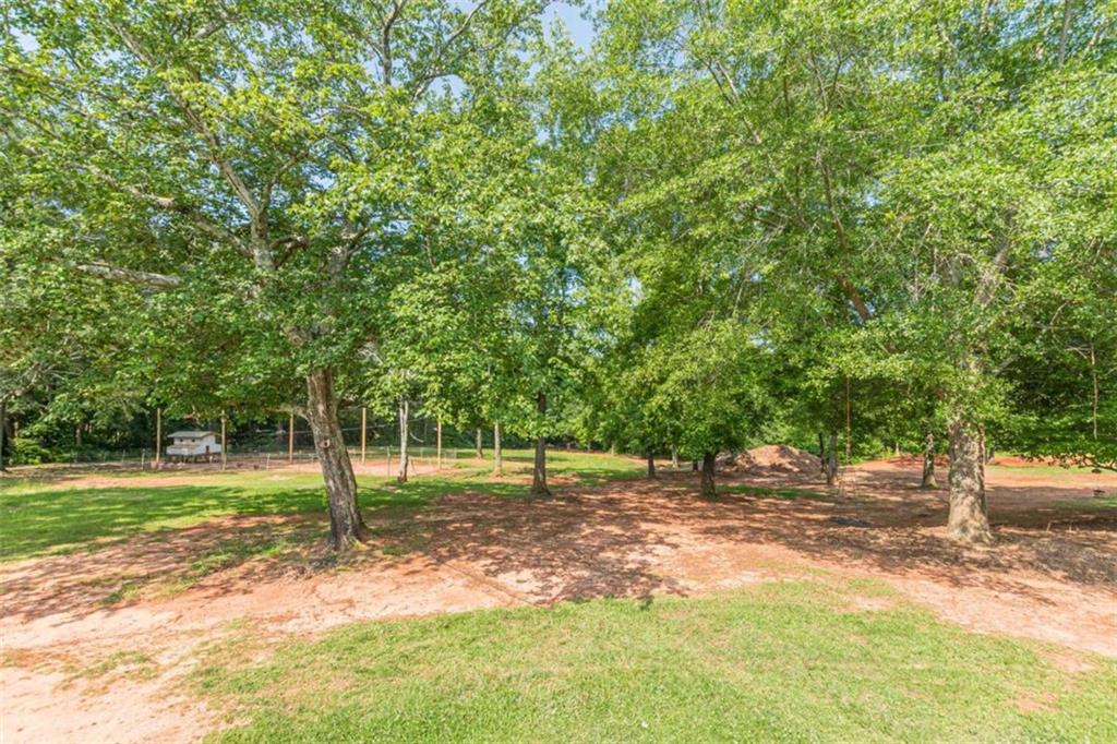 2229 South Van Wert Road Villa Rica, GA 30180 - Photo 76 of 92 a view of a tree in a park