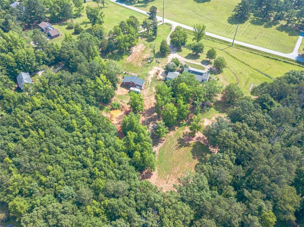 2229 South Van Wert Road Villa Rica, GA 30180 - Photo 86 of 92 a close up of a plant in a garden