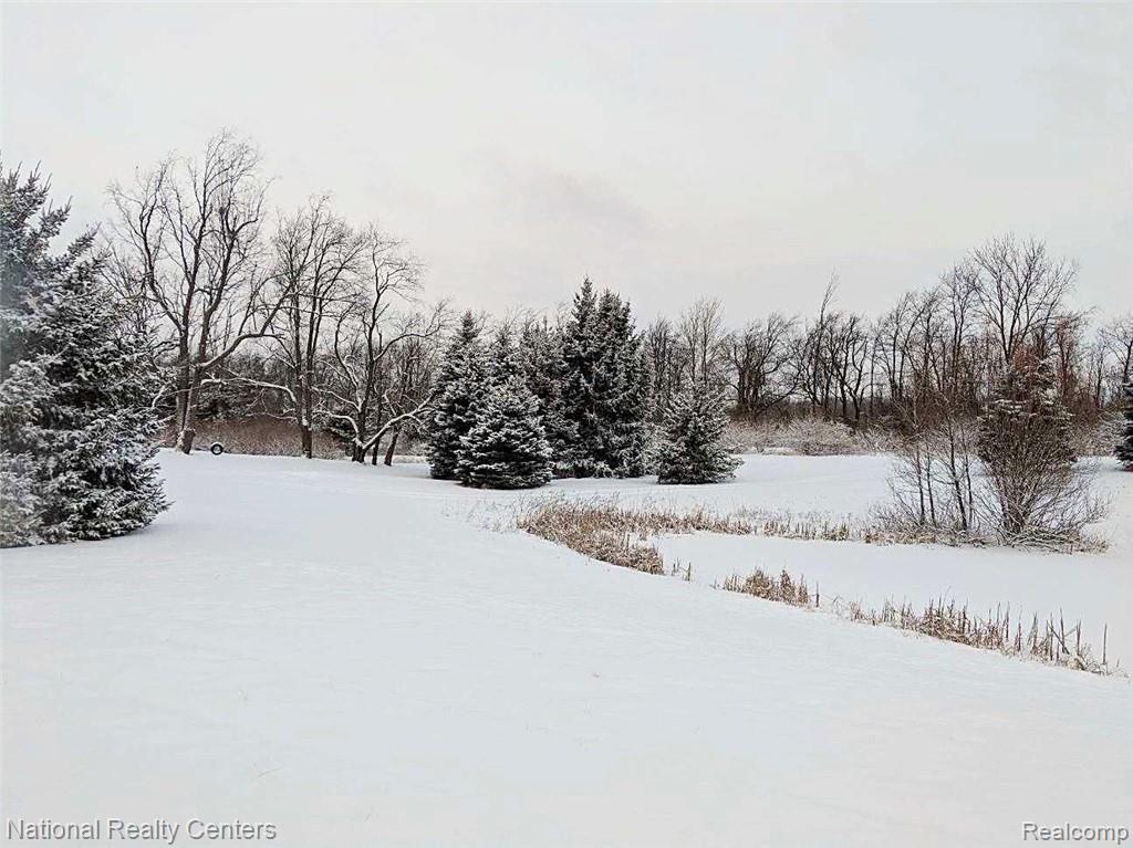 2922 North Lake George Road Dryden, MI 48428 - Photo 58 of 64 CC86CFC9-6032-4C60-A15F-8DDD236897BA.jpeg