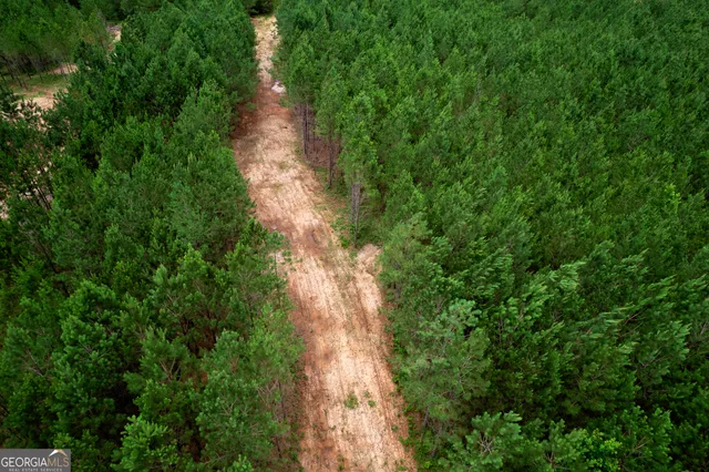 a view of a pathway both side of yard
