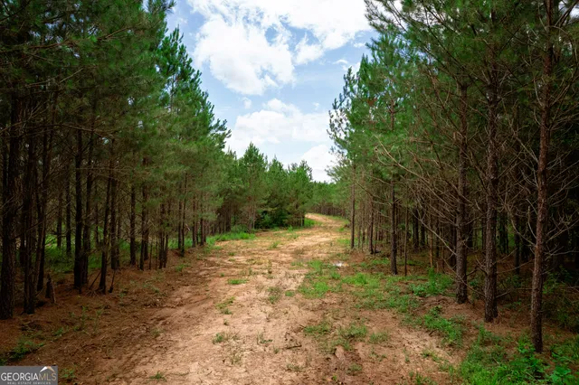 a view of backyard with green space