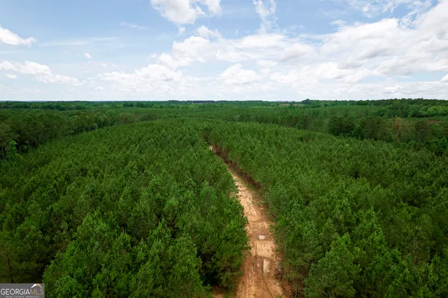 a view of a green field with lots of green space