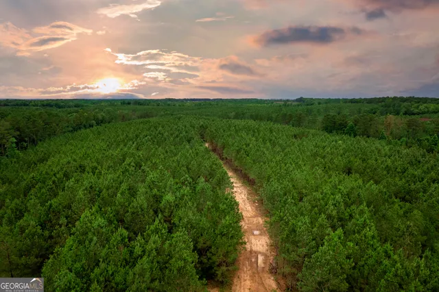 a view of a city and lush green forest