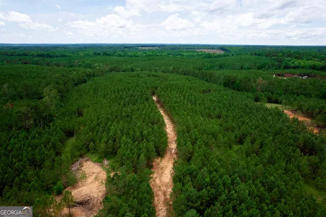 a view of a yard and trees