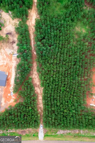 a view of a yard with plants