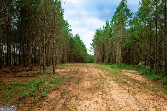 a backyard of a house with lots of trees