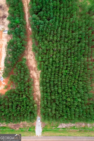 a view of a yard with plants