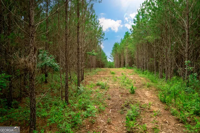 a view of outdoor space with trees