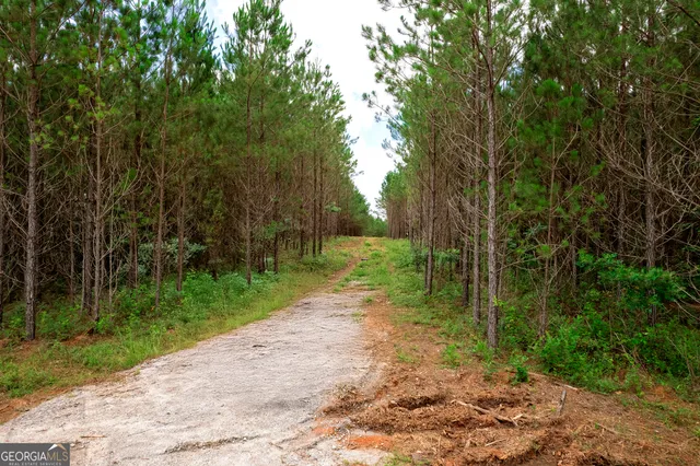 a view of a yard with trees