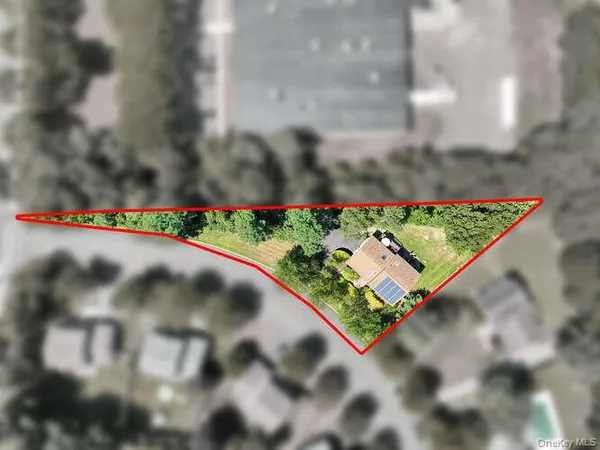 a view of a bunch of flowers