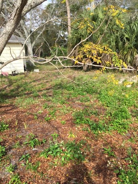 623 Roderick A Harris Sr. Avenue, Unit A Titusville, FL 32796 - Photo 2 of 6 a view of a yard with yellow plants and wooden fence