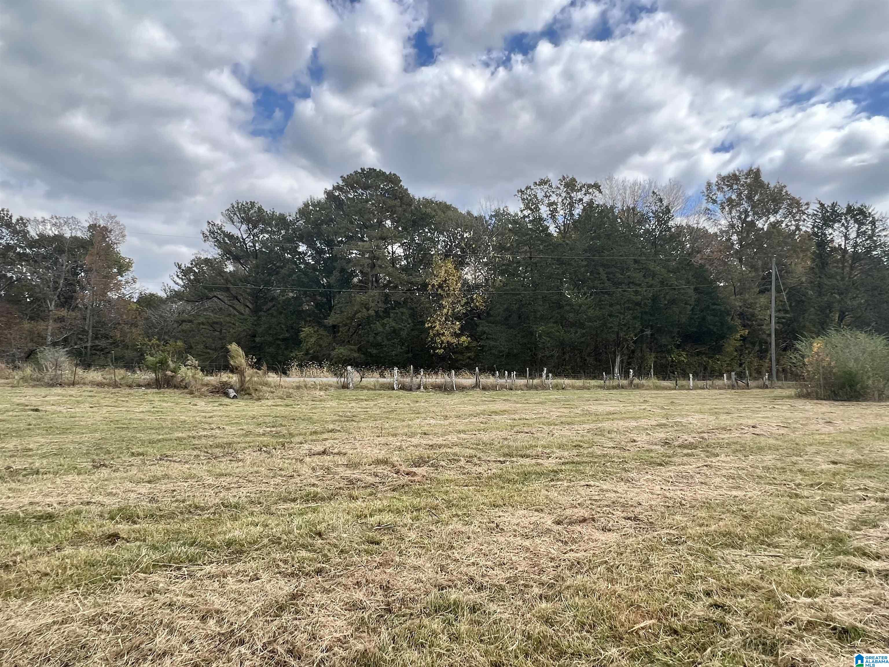 0 Rock Springs Road, Unit 52 24 Warrior, AL 35180 - Photo 30 of 39