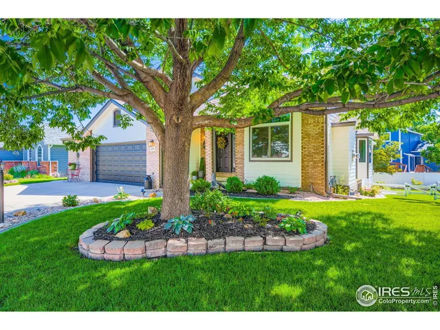 a view of a house with backyard and a tree