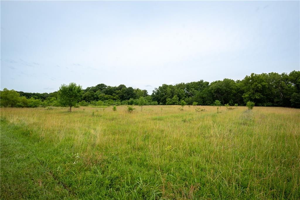 34664 Spring Valley Road Paola, KS 66071 - Photo 14 of 82 Gallery Image 14