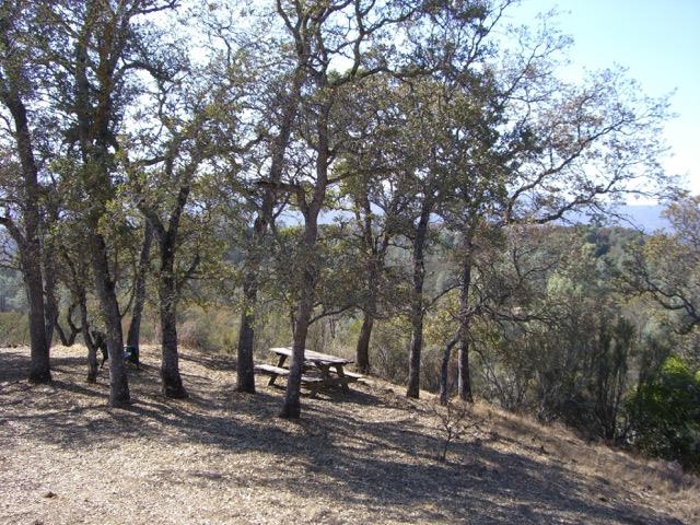 73866 Copperhead Road Bradley, CA 93426 - Photo 4 of 14 Gallery Image 4