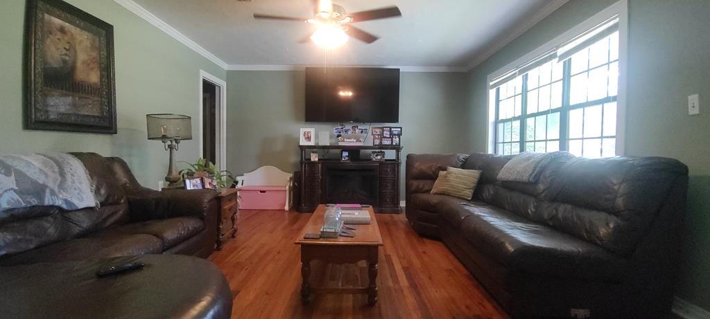 507 West Ewing Street Samson, AL 36477 - Photo 12 of 22 Gallery Image 12