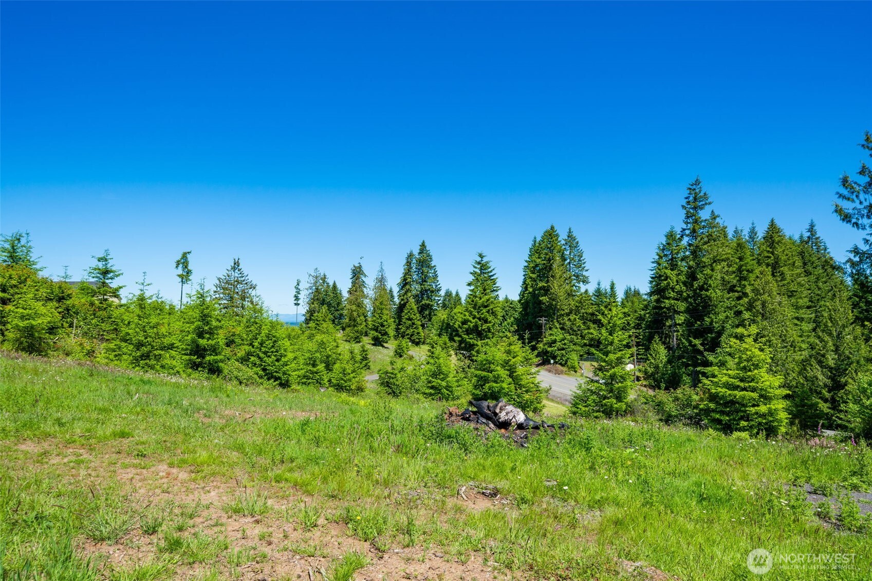 0 South Silver Lake Road Castle Rock, WA 98611 - Photo 6 of 18