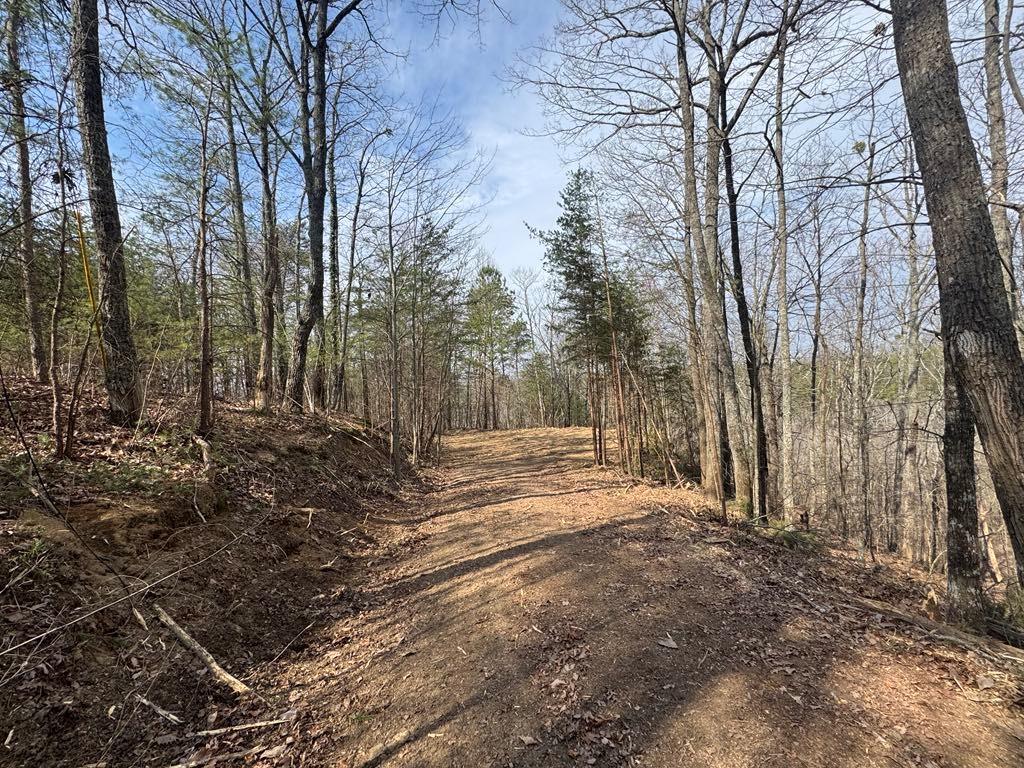 1450 Hanna Drive Ranger, GA 30734 - Photo 12 of 27