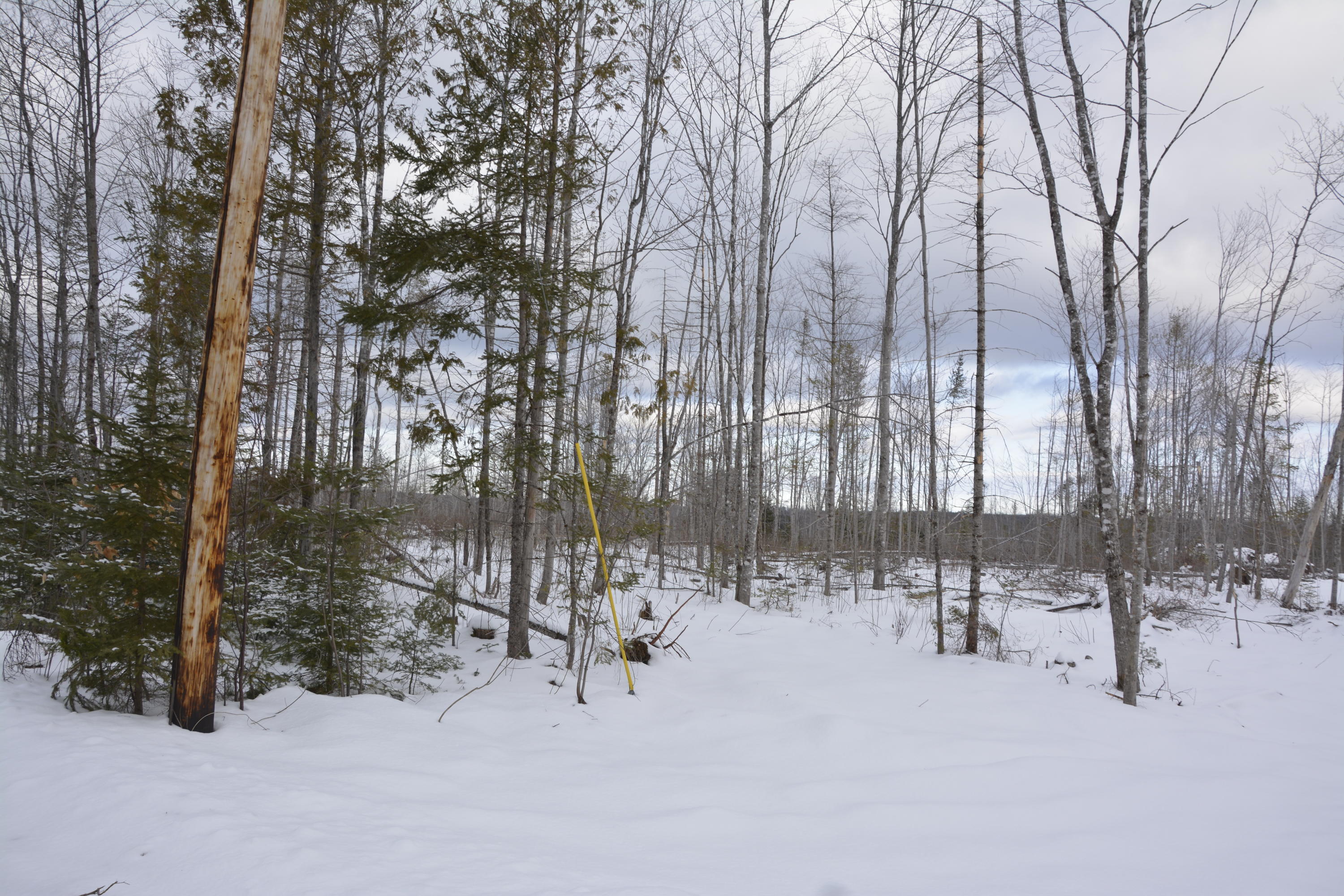 0 Hemore Road Houlton, ME 04730 - Photo 3 of 6 _DSC0003
