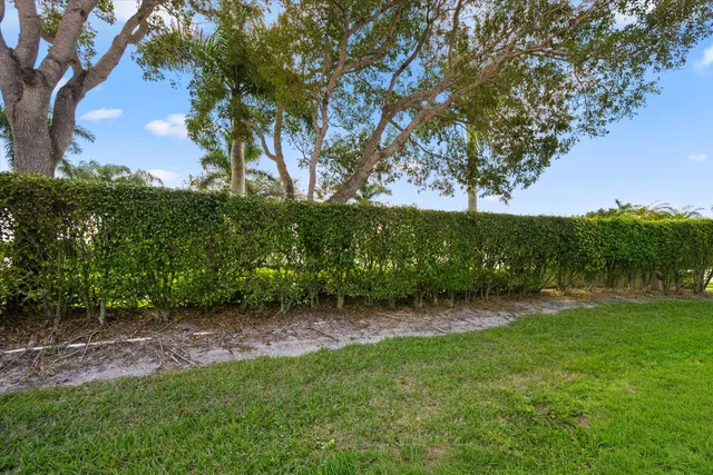 a view of a yard with a tree