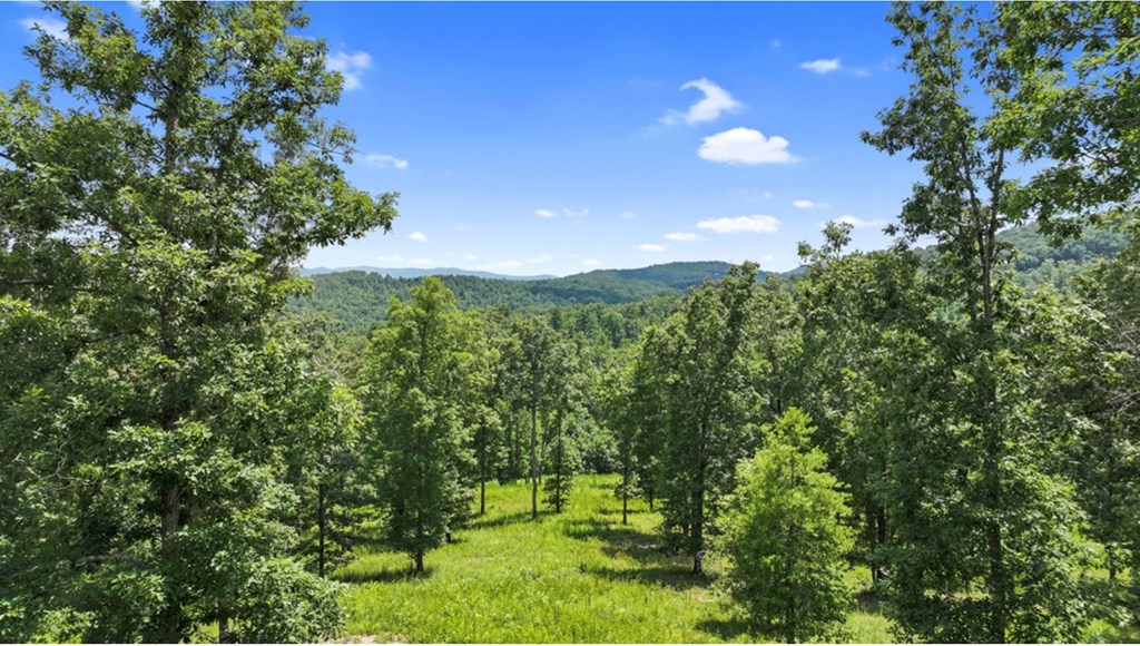 11 Haven Way Blue Ridge, GA 30513 - Photo 15 of 21 Gallery Image 15