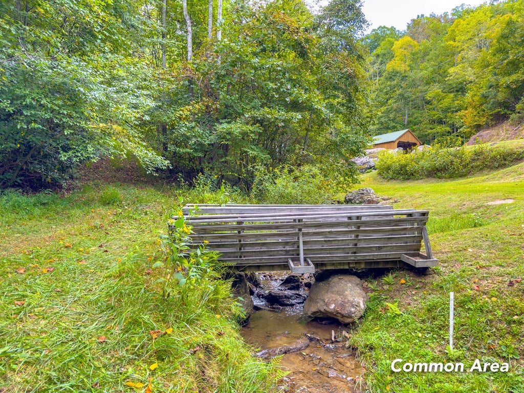 Cc Spring Pond Trail, Unit CC Fancy Gap, VA 24328 - Photo 32 of 46 Gallery Image 32