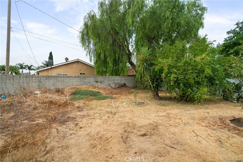 8538 Trey Avenue Riverside, CA 92503 - Photo 23 of 25 a view of a dirt road with a large tree
