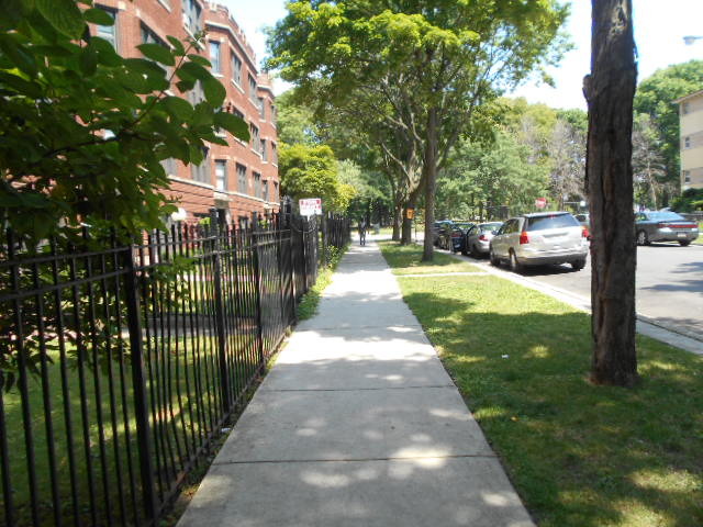 6716 South Chappel Avenue, Unit 1S Chicago, IL 60649 - Photo 6 of 10