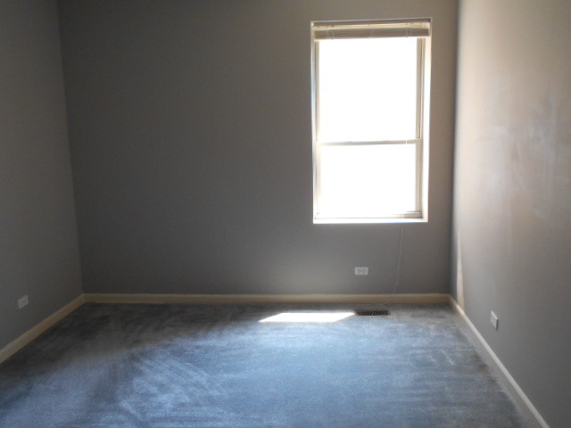 6716 South Chappel Avenue, Unit 1S Chicago, IL 60649 - Photo 9 of 10