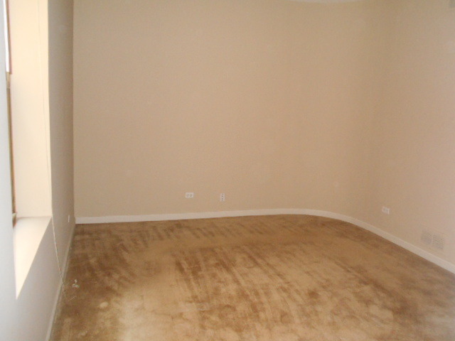 6716 South Chappel Avenue, Unit 1S Chicago, IL 60649 - Photo 10 of 10