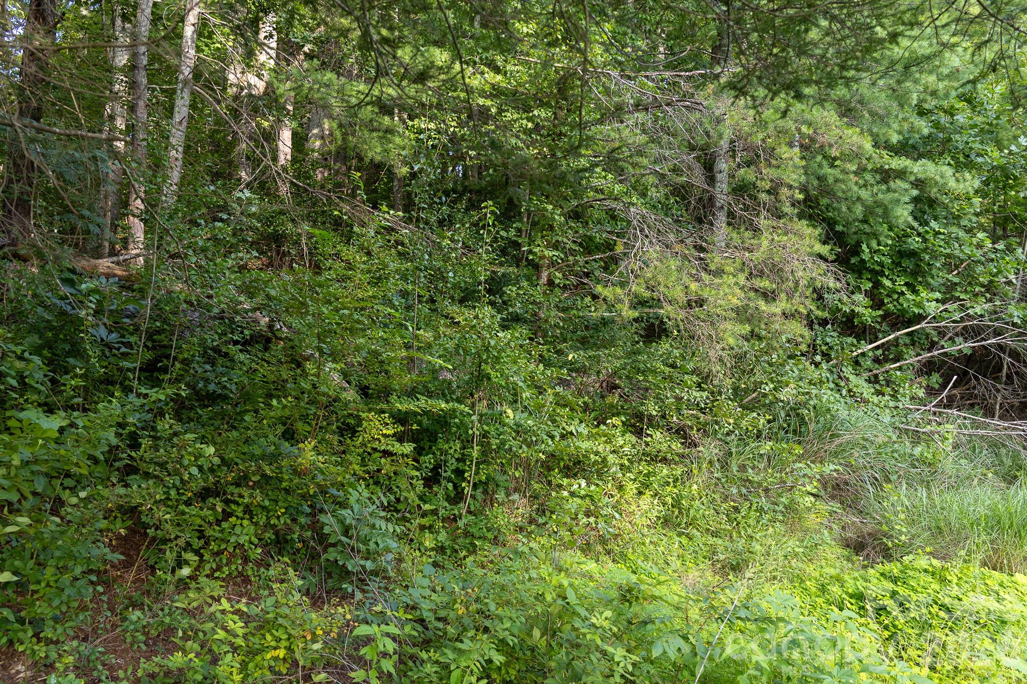 920 Mills Gap Road Fletcher, NC 28732 - Photo 3 of 10 Gallery Image 3