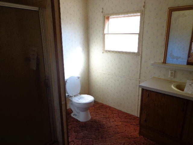 7842 Cowman Road Hubbardston, MI 48845 - Photo 16 of 25 DSC08077.JPG