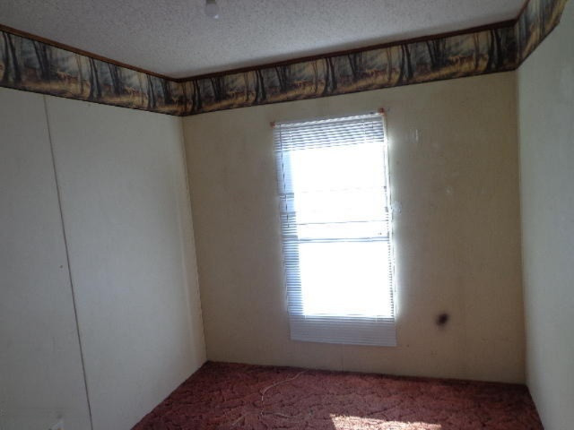 7842 Cowman Road Hubbardston, MI 48845 - Photo 19 of 25 DSC08080.JPG