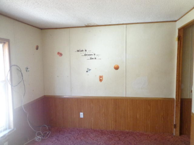 7842 Cowman Road Hubbardston, MI 48845 - Photo 21 of 25 DSC08083.JPG