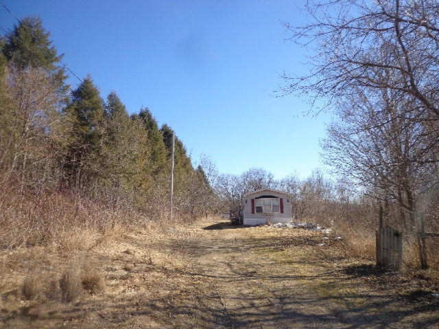 7842 Cowman Road Hubbardston, MI 48845 - Photo 24 of 25 DSC08088.JPG