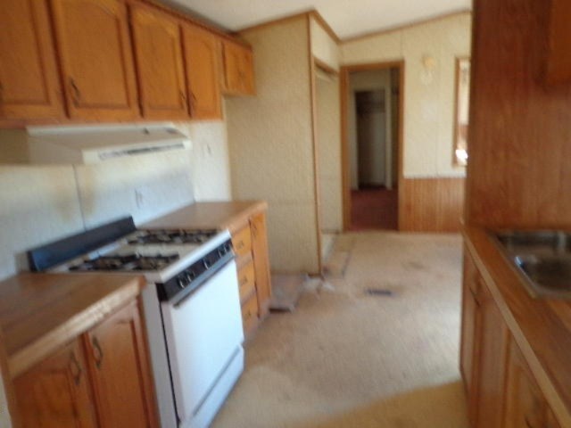 7842 Cowman Road Hubbardston, MI 48845 - Photo 9 of 25 DSC08069.JPG