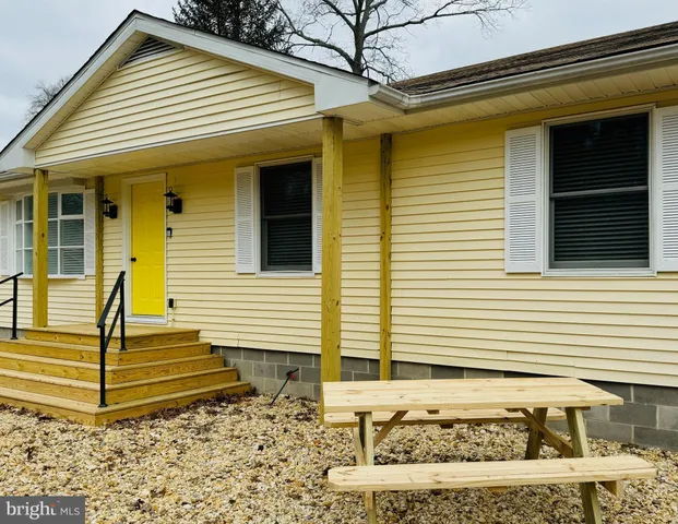 a view of a forest with trees