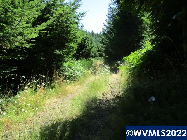 0 Timber (east) Road Forest Grove, OR 97116 - Photo 8 of 9